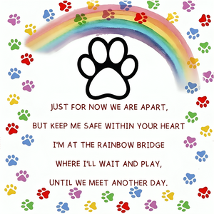 Waiting At The Rainbow Bridge - Custom Pet Memorial Bracelet